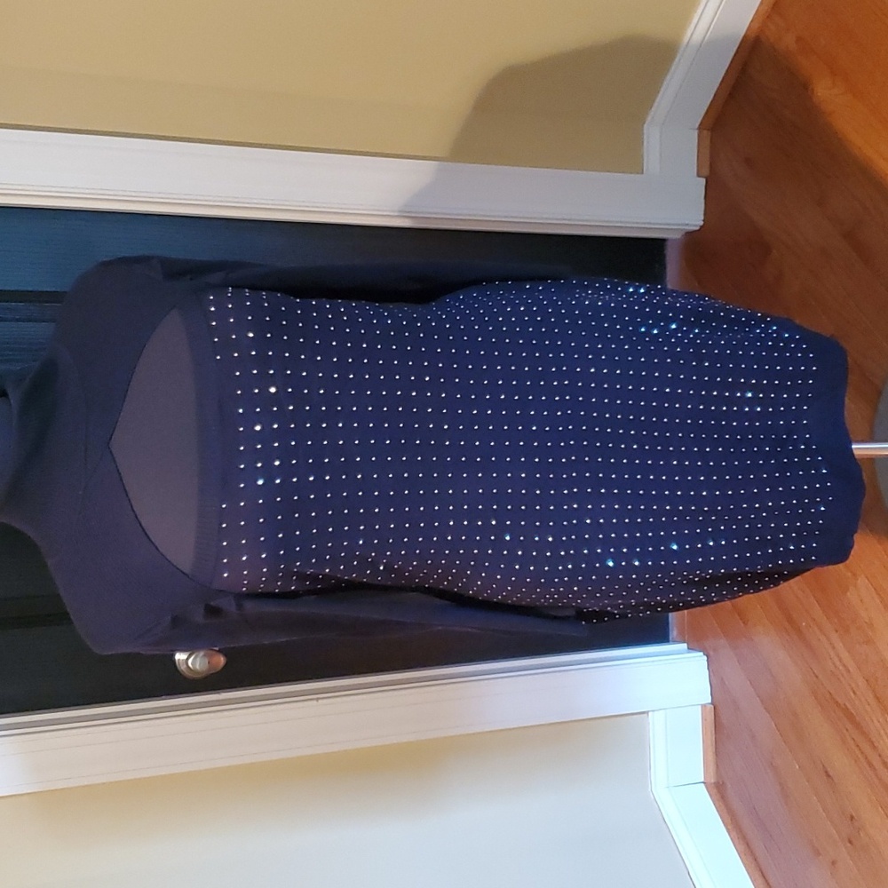 NWT Turtleneck Sweater Dress